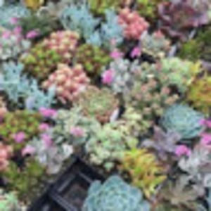 Meet your Posher, 14562